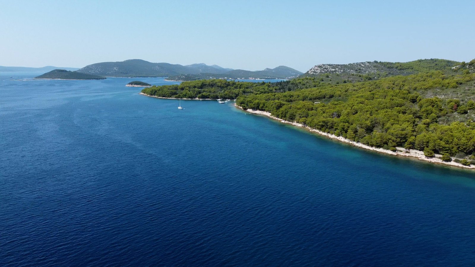 DJI_0175.00_06_11_16.Still032