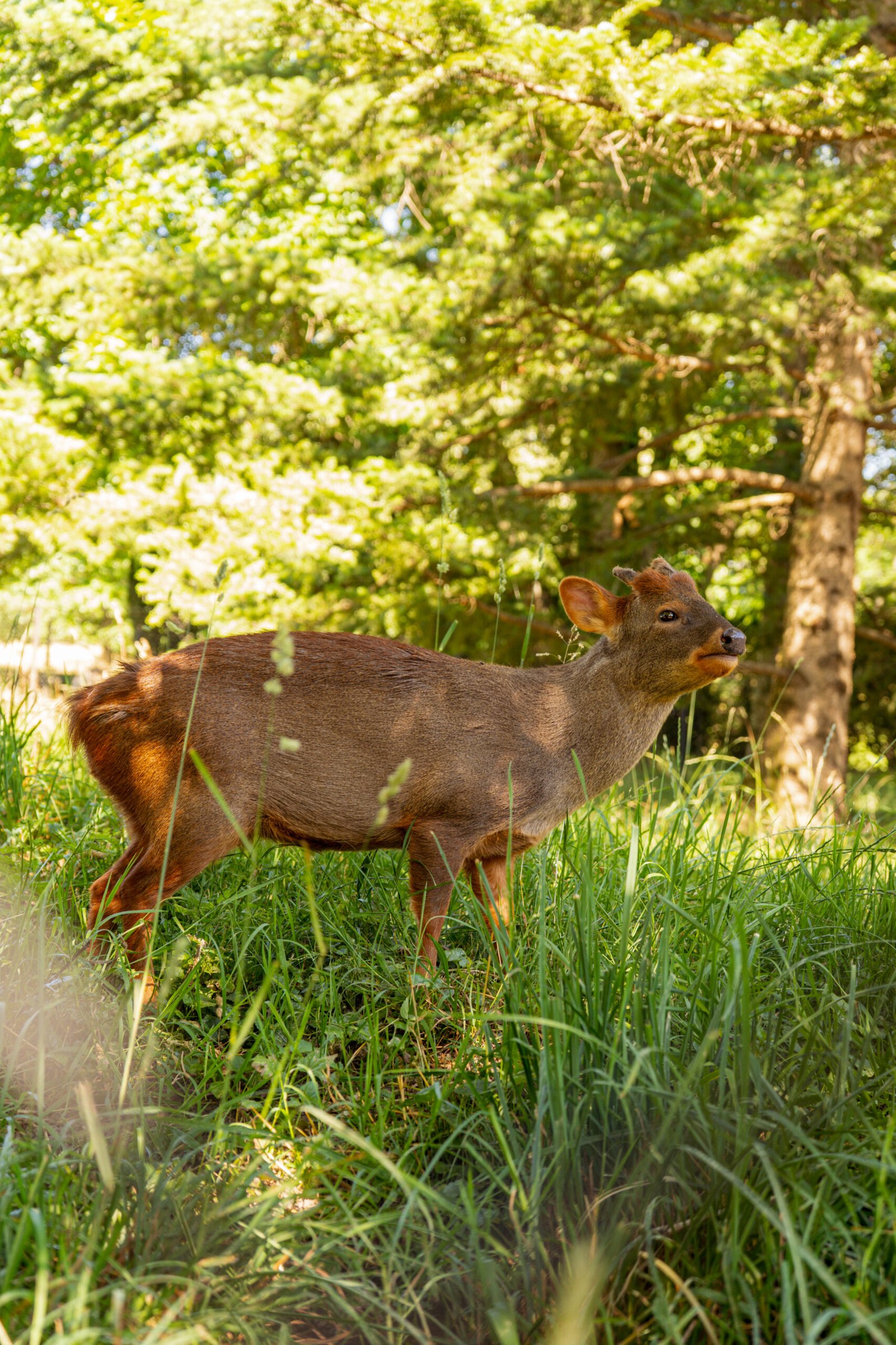 untitled (10 of 1)-3