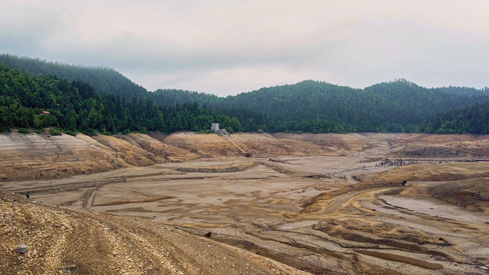 untitled (10 of 1)-51