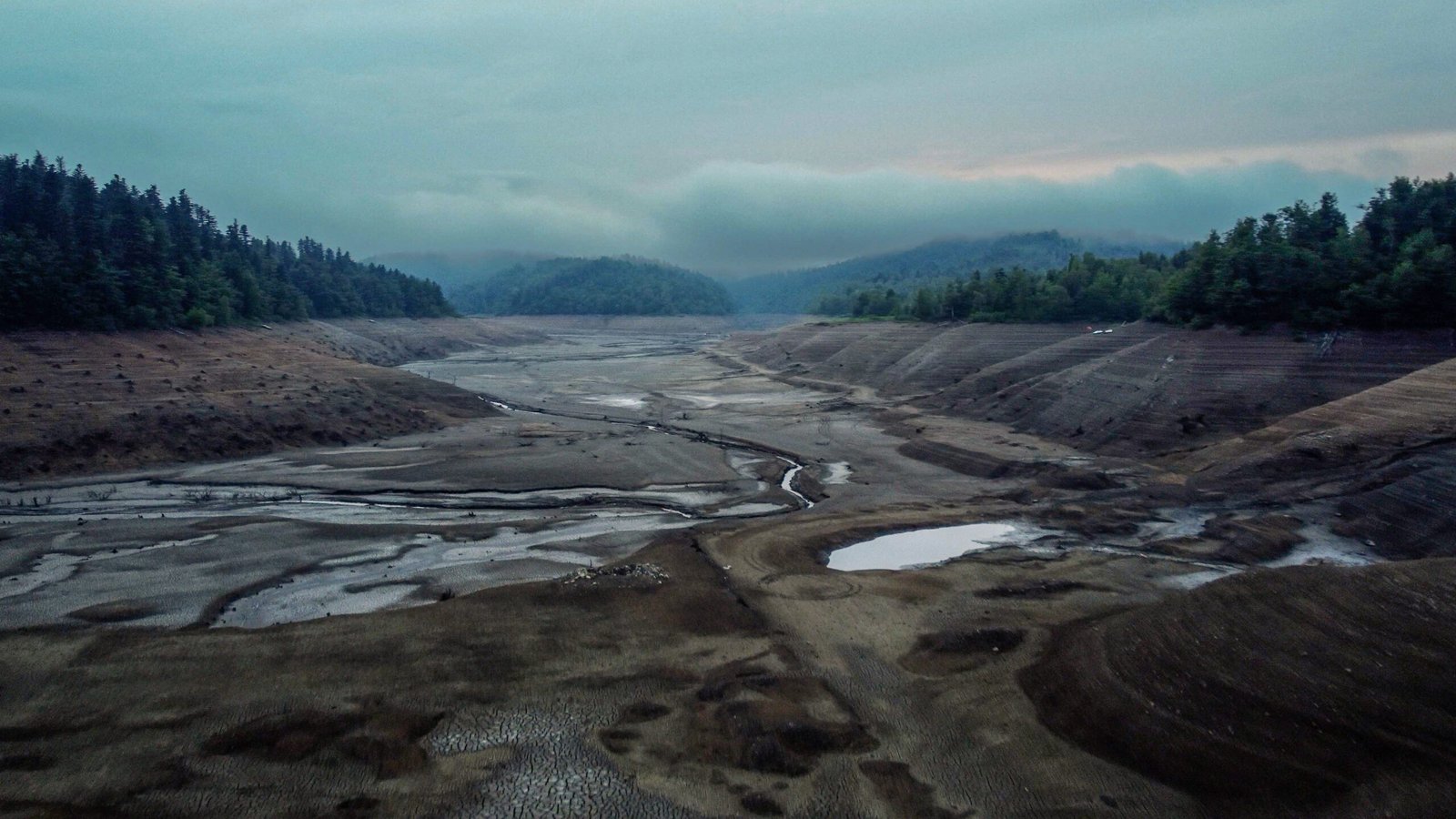 untitled (10 of 1)-53