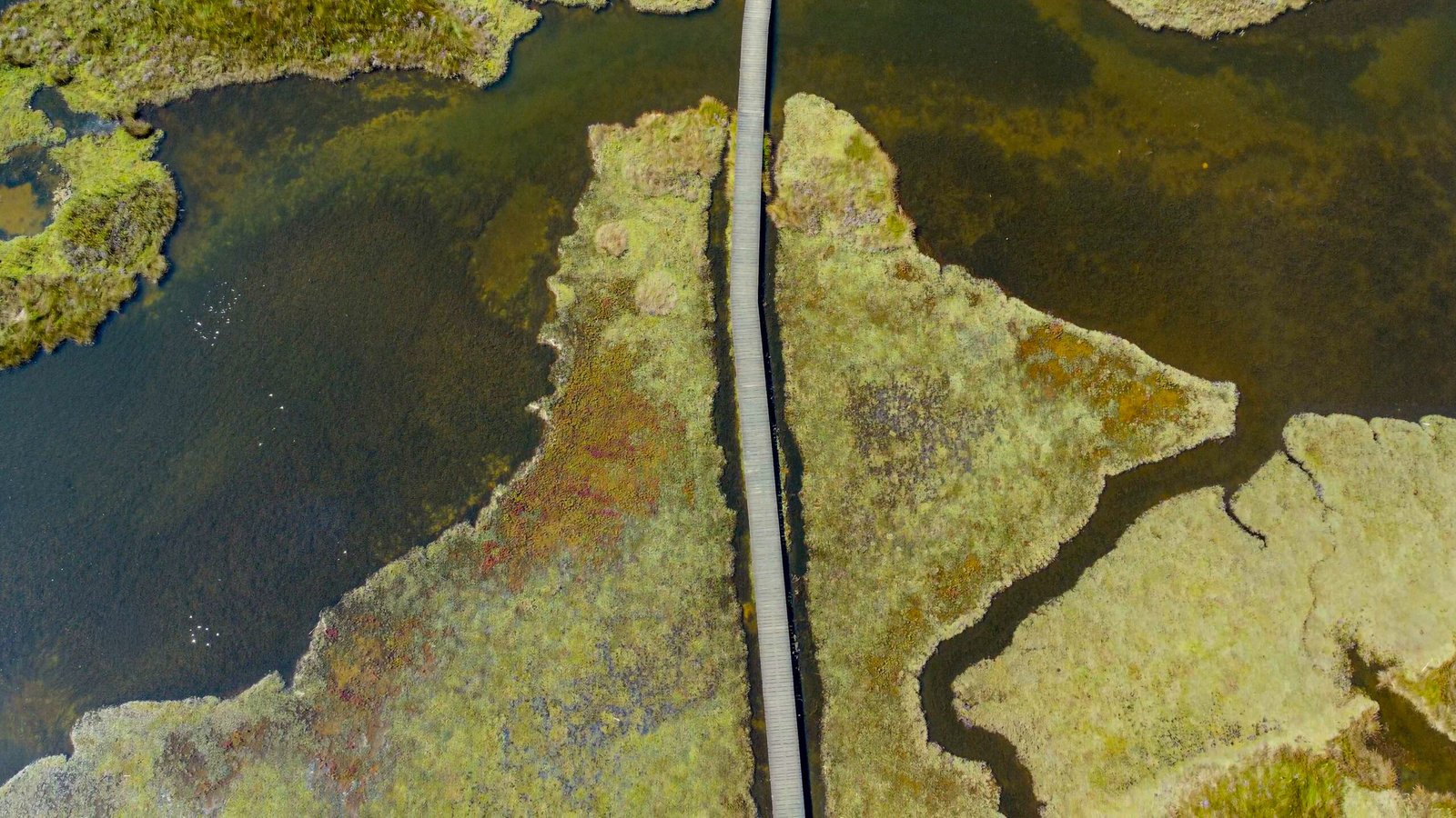 untitled (10 of 1)-54