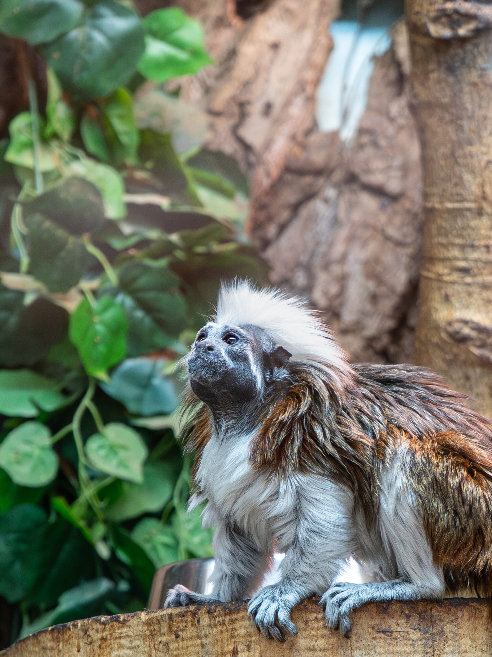 untitled (10 of 1)-58