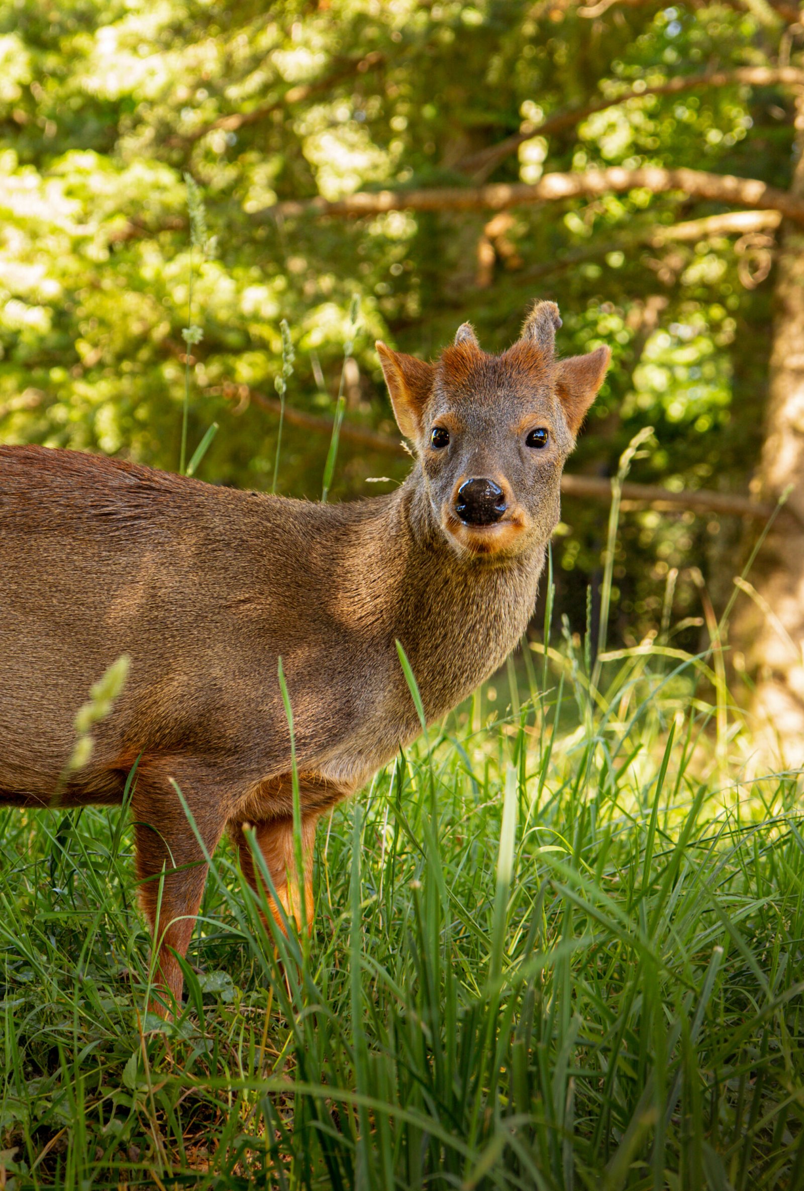 untitled (10 of 2)-3