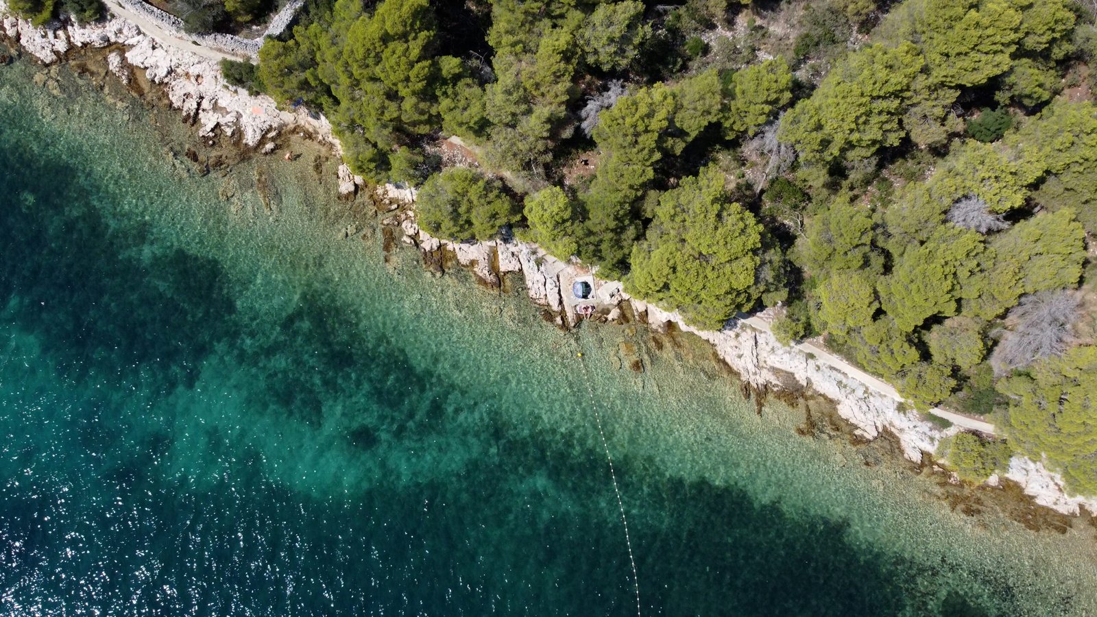 DJI_0175.00_03_38_10.Still056